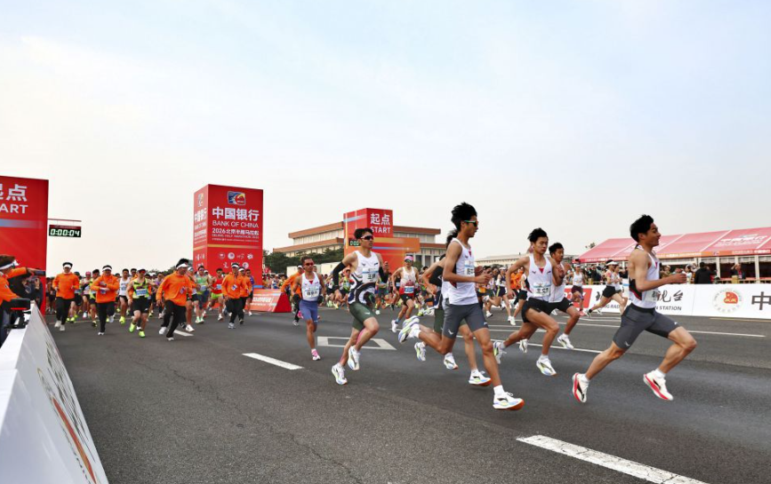 Bob体育综合入口全面解析与使用指南