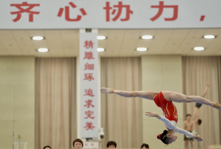 揭秘bob体育综合平台的投注策略与技巧